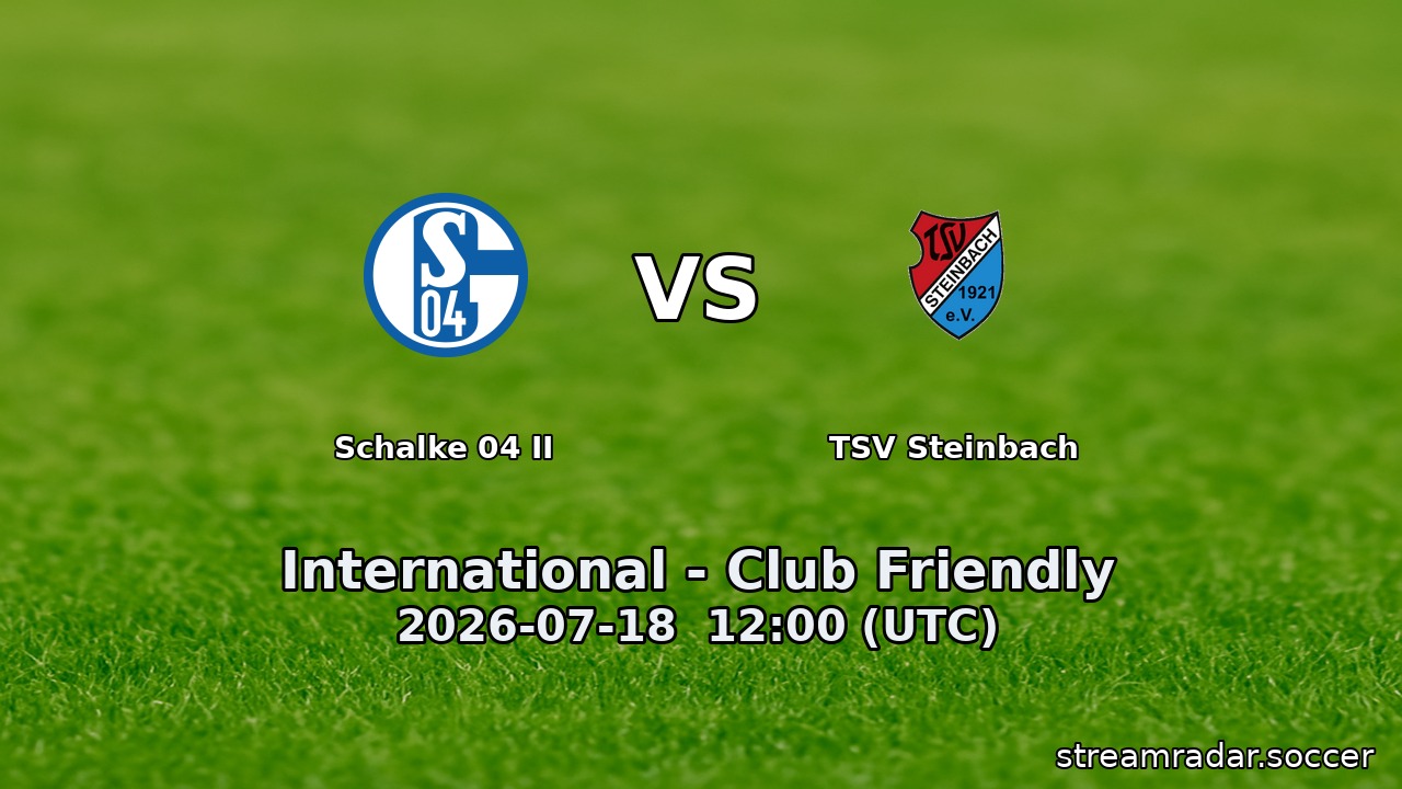 Schalke 04 II vs TSV Steinbach