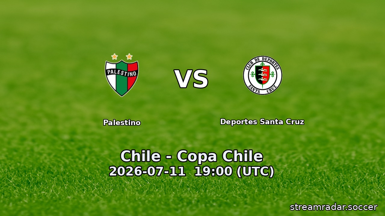 Palestino vs Deportes Santa Cruz