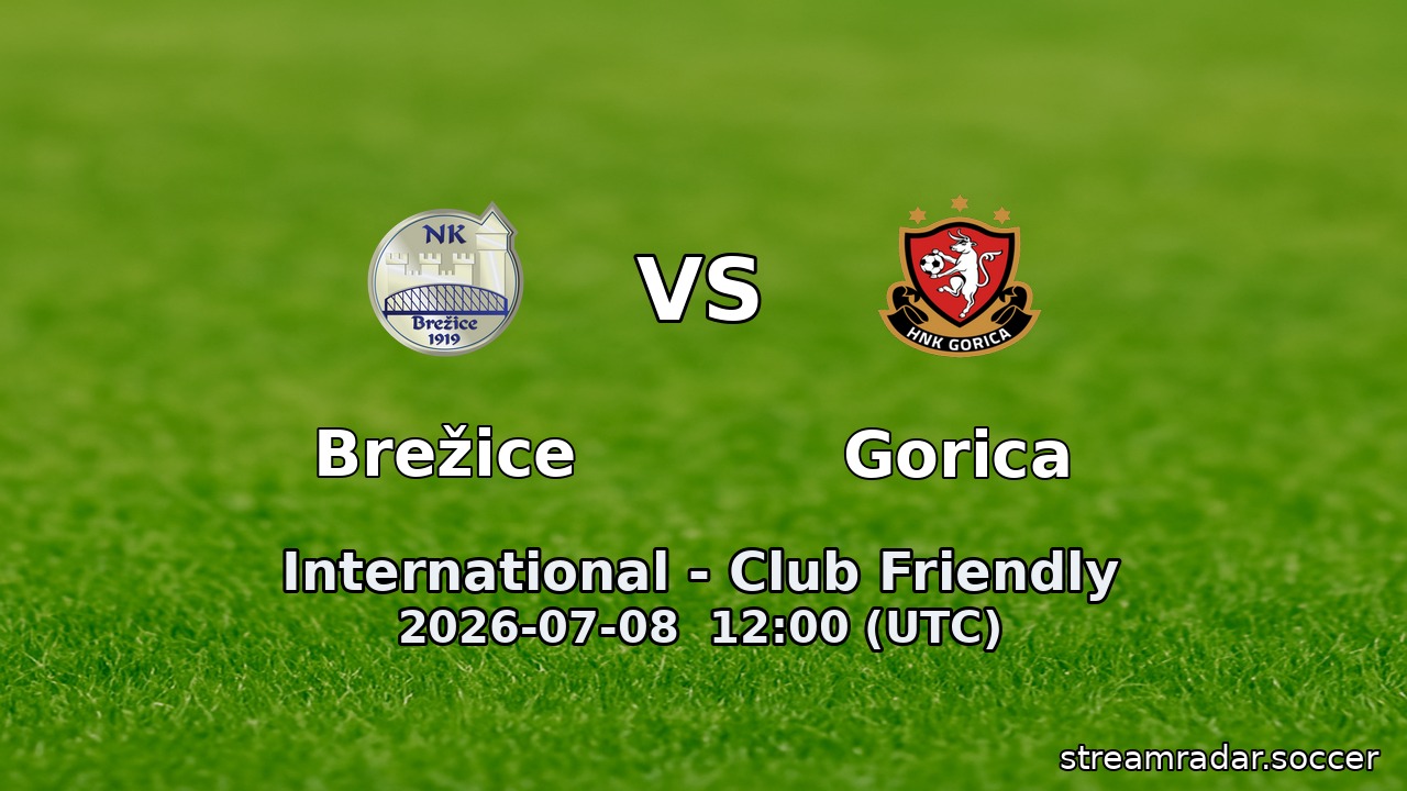 Brežice vs Gorica