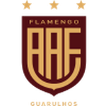 AA Flamengo Under 20 logo