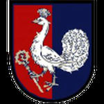 FK Petřvald na Moravě logo