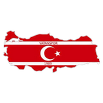 Vatanspor logo