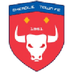 Cheadle Town Stingers WFC Women logo