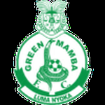 Green Mamba FC logo