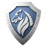 FC Merani Tbilisi logo