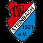 TSV Steinbach II logo