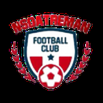 Nsoatreman FC logo