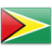Guyana Women National Team logo