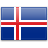 Iceland National Team logo