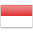 Indonesia Women National Team logo
