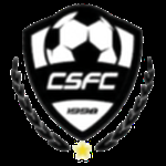 Daegu Cheongsol FC logo