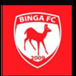 Binga FC logo