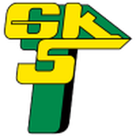 GKS Górnik Łęczna Women logo