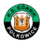 KS Górnik Polkowice logo