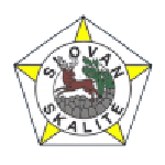 TJ Slovan Skalité logo