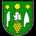 TJ Vinohrad Čebovce logo