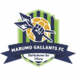 Marumo Gallants FC Under 23 logo