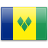 Saint Vincent and the Grenadines Women National Team logo