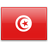 Tunisia Women National Team logo