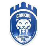 1074 Çankırı Spor Kulübü logo
