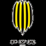 FC Rukh Vynnyky II logo