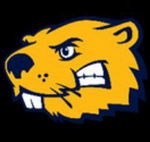 Buena Vista University logo