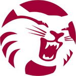 California State University - Chico logo