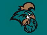 Coastal Carolina University logo