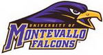 University of Montevallo logo