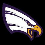 University of Northwestern-St. Paul logo
