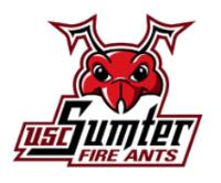 University of South Carolina - Sumter logo