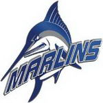 Virginia Wesleyan University logo