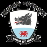 Baglan Dragons FC logo