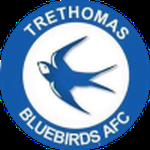 Trethomas Bluebirds FC logo