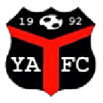 Ynyshir Albions FC logo